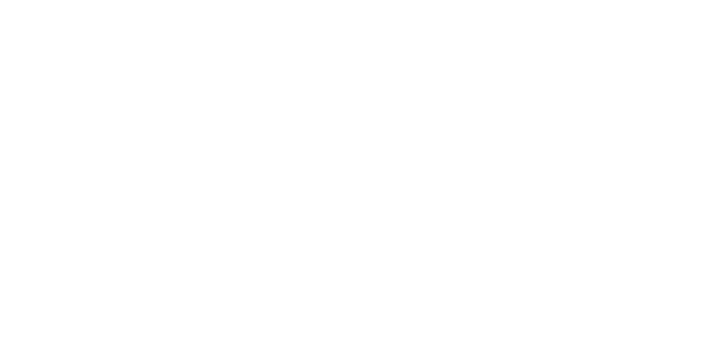 Palma Investimenti e Servizi